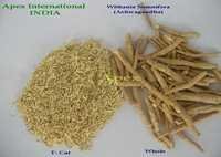 Withania Somnifera Root T Cut