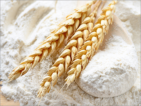 Wheat Flour - Wheat 25kg Bags 14% Moisture | Fine Texture High Protein Gluten Rich Freshly Milled Versatile Use