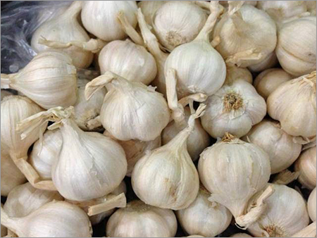 Fresh Garlic - 10-20 Grams 8-12 Cloves White | Fresh Flavorful Organic Natural Versatile