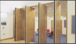 Partition Door