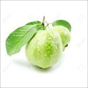 Natural Leaf Extract From Guava