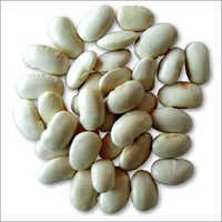 White Kidney Bean Extract - Powder Form, White Color | Bulk Packaging, Cool & Dry Storage, 2-year Shelf Life