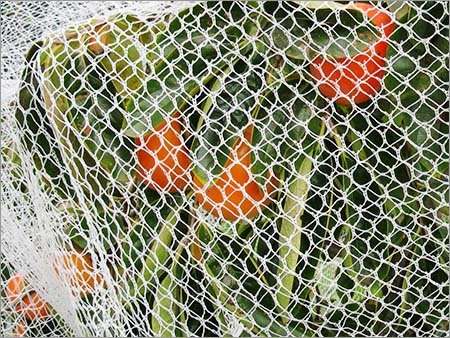 Anti Bird Net