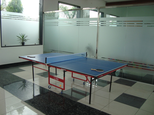 Table Tennis