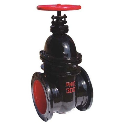 Cast Iron ISI Sluice Valve