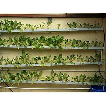 Tech NFT 90 Hydroponics Kits