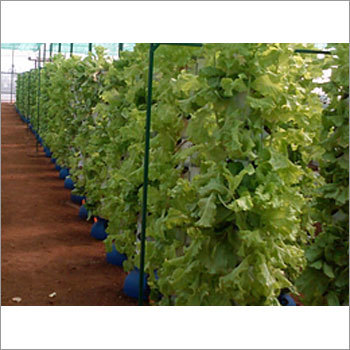 Hydroponics Vertical Unit
