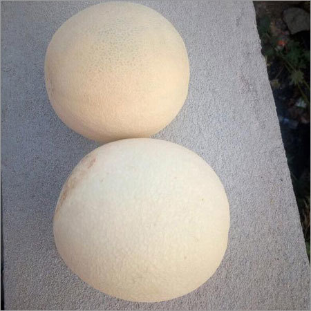 Fresh Melon