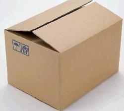 Packaging Cartons