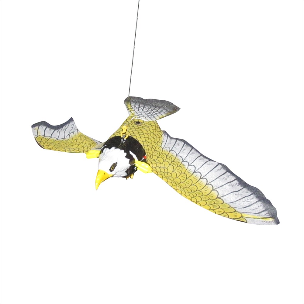 PTCMART Flying Eagle For Kids
