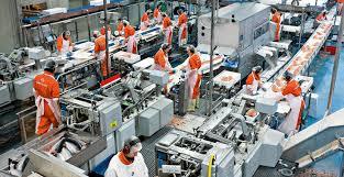 Food Processing Plants