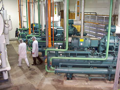 Refrigeration System for Cold Storage