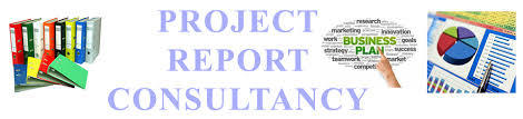 Project Reports & Consultancy