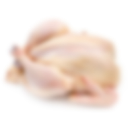 Fresh Whole Birds