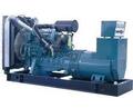 Diesel Generator Set