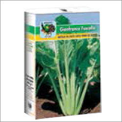Vegetable Seeds