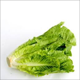 Lettuce Seeds