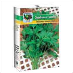 Coriander Seeds
