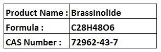Brassinolide - White Powder C28H48O6 CAS 72962-43-7 | Plant Growth Hormone Stress Relief Yield Increase