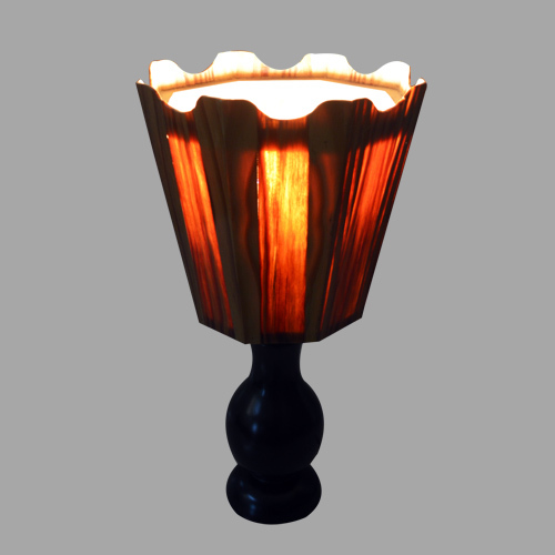 Conical Curvy Inverted Table Lamp