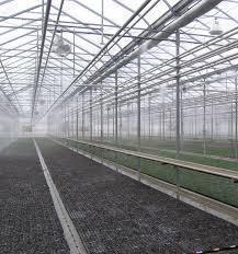 Greenhouse Humidification
