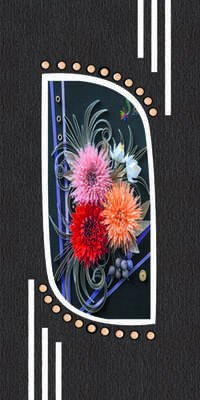 Door Print Skin