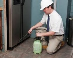 Household Pest Control