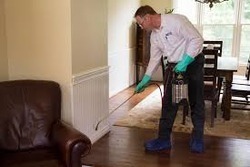 Indoor Pest Control
