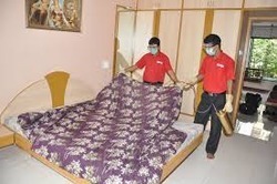 Bed Bugs Pest Control
