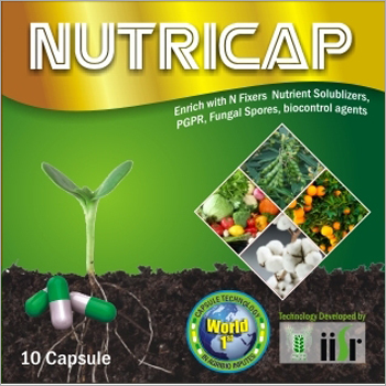 Nutricap Web