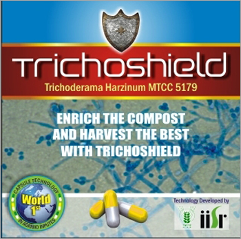 Trihoshiiled Web