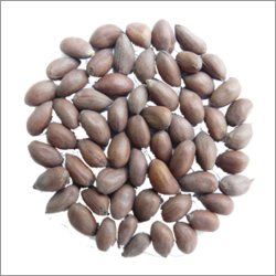 Cotton Seeds