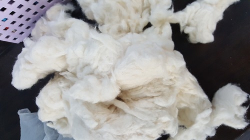 Noil Comber - Pure Comber Noil, Fiber Length 18-23 Millimeter, White Color, Raw Pattern, Ideal for Pulp Industries in Paper Production