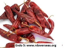Endo 5 Chilli