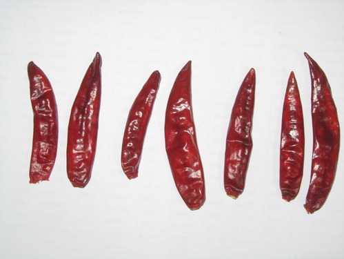 Sannam Stemless Dry Chilli