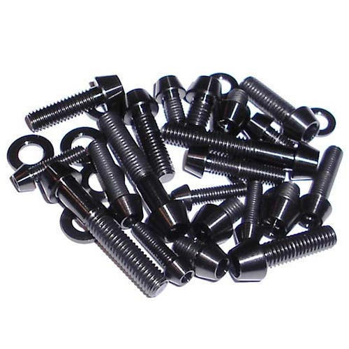 Duplex Steel Screws