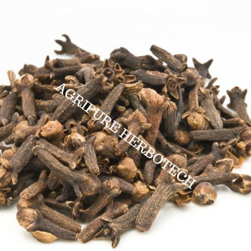 Clove Bud Oil