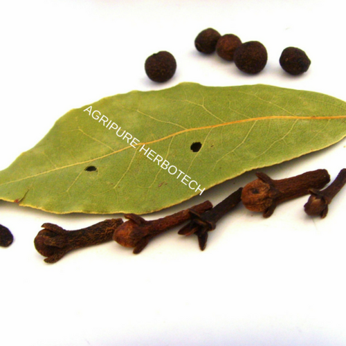 Clove Leaf Oil - Colorless to Pale Yellow Liquid | Spicy Powdery Herbal Odour, High Eugenol Content, Ideal for Oral Care and Flavoring Applications