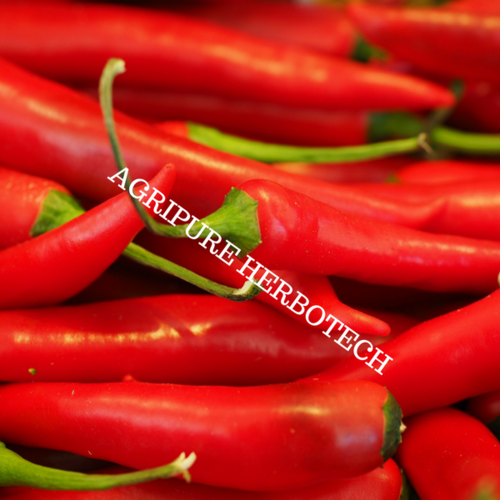 Capsicum Oleoresin