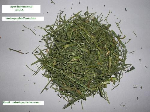 Herbal Product Kalmegh Powder