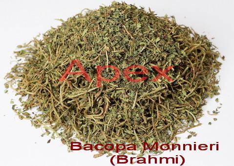 Bacopa . - Grade: Medicine Grade