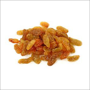 Golden Raisin