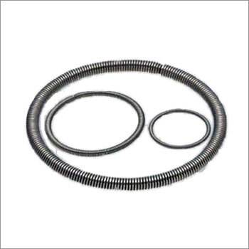 Industrial SS Garter Spring