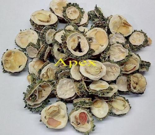 Botanical Product Bitter Melon Dried