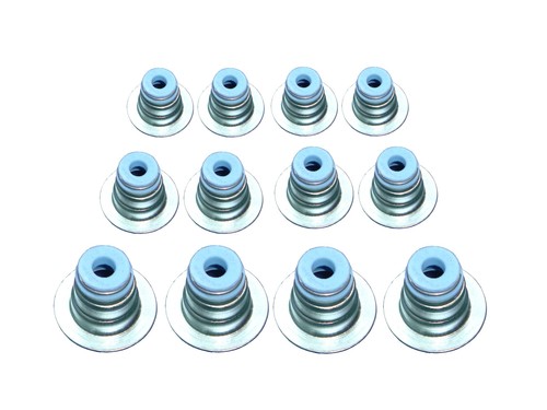 Valve Seal (Set of 12 Pcs.)