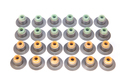 Valve Seal Set of 24 Pcs.