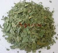 Neem Leaves