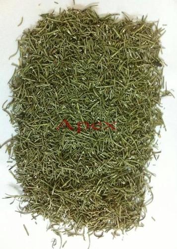 Rosemarinus Officinalis