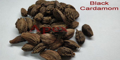 Black Cardamom - Raw Dried Herb Pieces | 2-Year Shelf Life, Multi-Functional Digestive Aid  