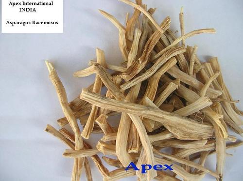 Asparagus Racemosus - Grade: Medicine Grade